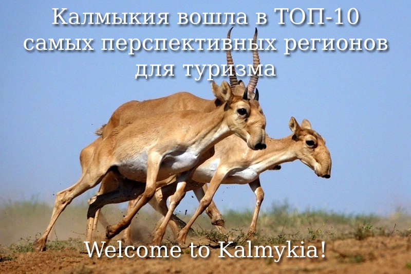 Калмыкия Калмыкия